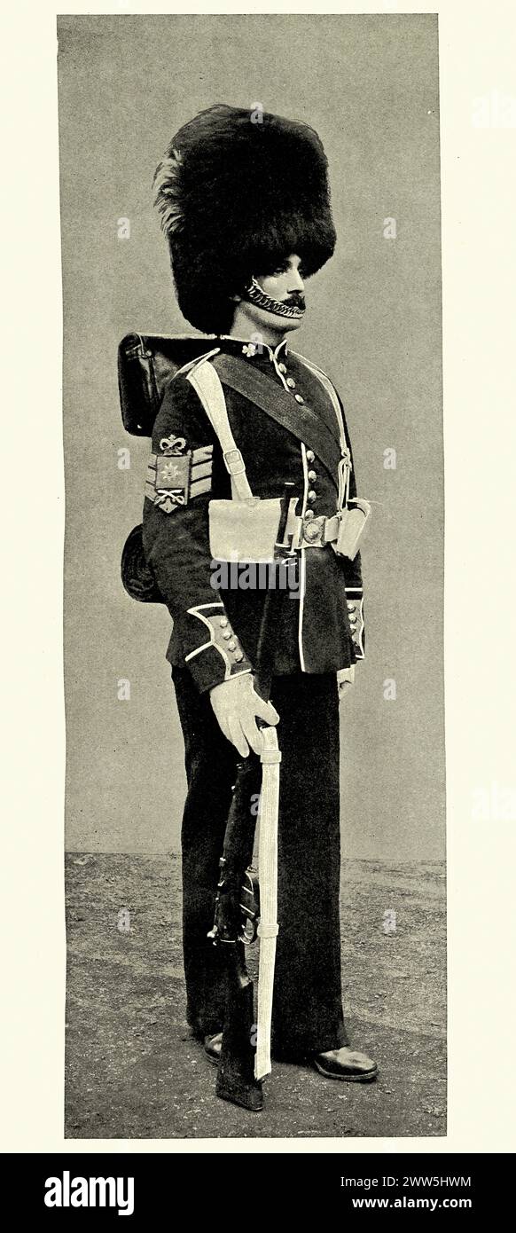 Photographie vintage du soldat de l'armée britannique des gardes irlandais, chapeau Bearskin, uniforme militaire, 1902 Banque D'Images