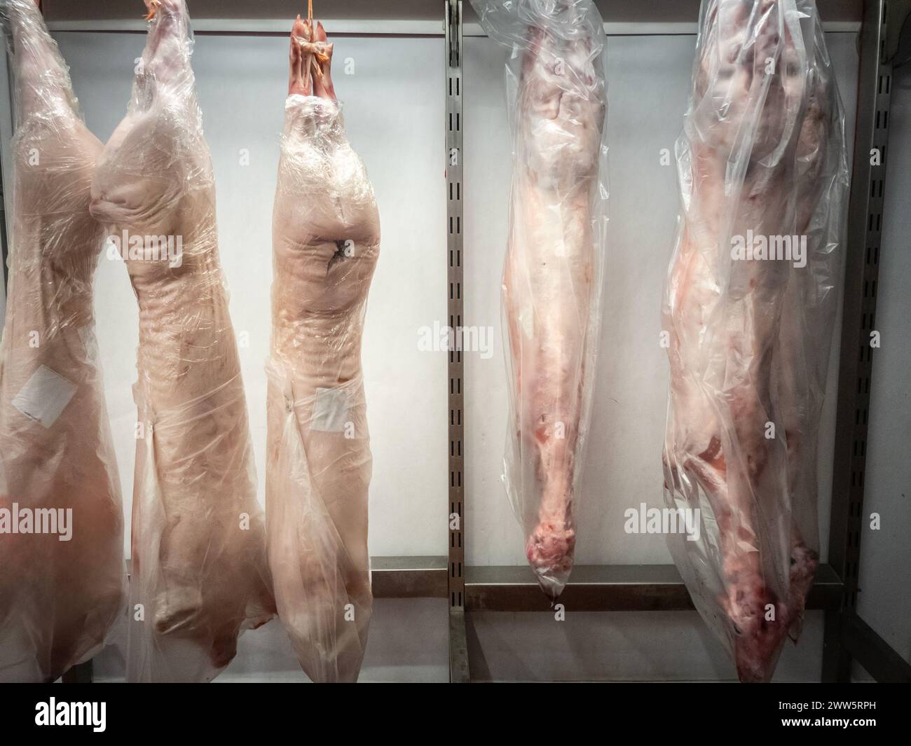 Cette photographie capture l'essence crue de l'industrie de la viande, détaillant une rangée de carcasses de porc congelées méticuleusement accrochées dans un spacieux, industriel-gr Banque D'Images