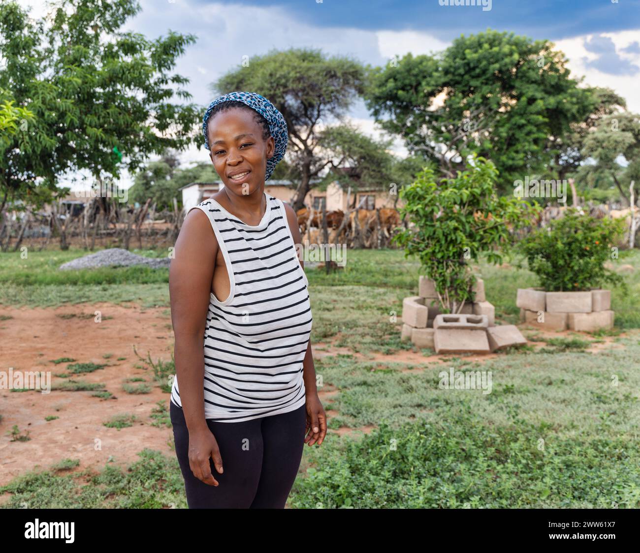 jeune femme africaine, vaches dans le kraal en arrière-plan, vie villageoise en afrique du sud Banque D'Images