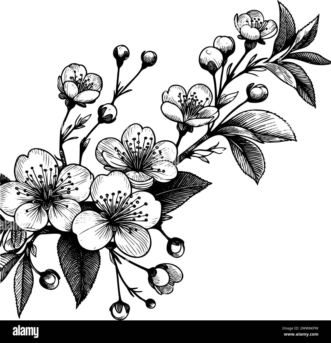 fleur de dessin noir et blanc avec tige feuillue. Fleur est dans l'image centrale et a peu d'autres fleurs l'entourant, il est dessiné à la main, pas ai Illustration de Vecteur