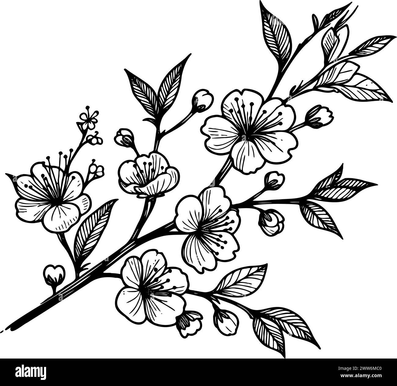 Une branche de dessin noir et blanc avec des fleurs dessus, c'est dessiné à la main, pas ai Illustration de Vecteur