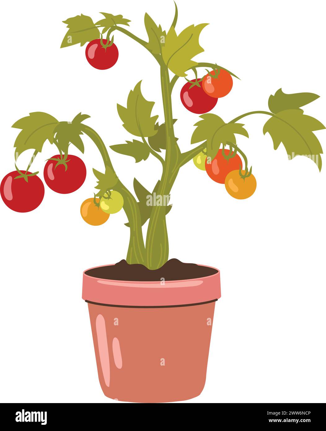 Cultiver le buisson de tomates dans un pot, des légumes sur le balcon Illustration de Vecteur