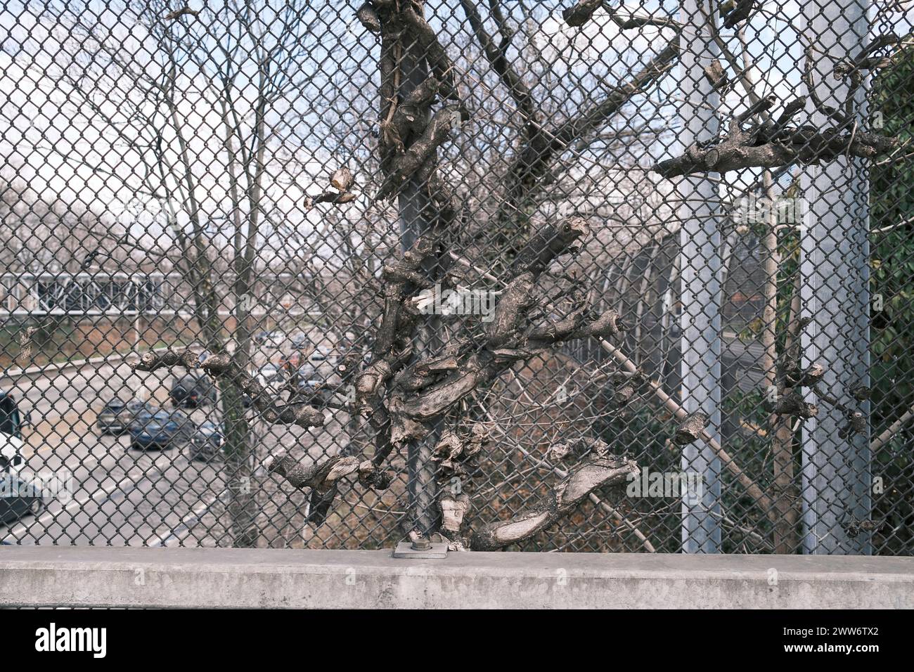Un grand arbre derrière une clôture de route Banque D'Images