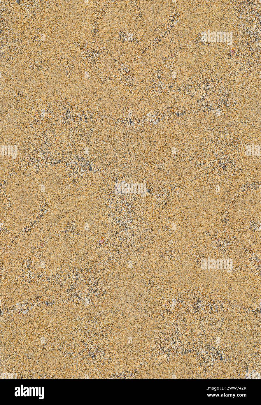 Détail de sable qui peut être trouvé sur la plage confortable Cove de l'île de l'Ascension qui se trouve isolé dans l'océan Atlantique Sud. Banque D'Images