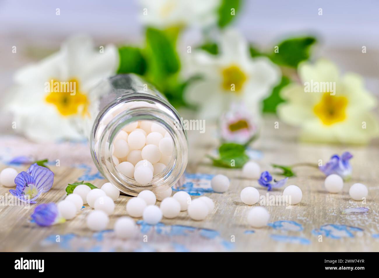 Homéopathie : gros plan de granules homéopathiques se répandant parmi de petites fleurs sur un fond clair. Banque D'Images