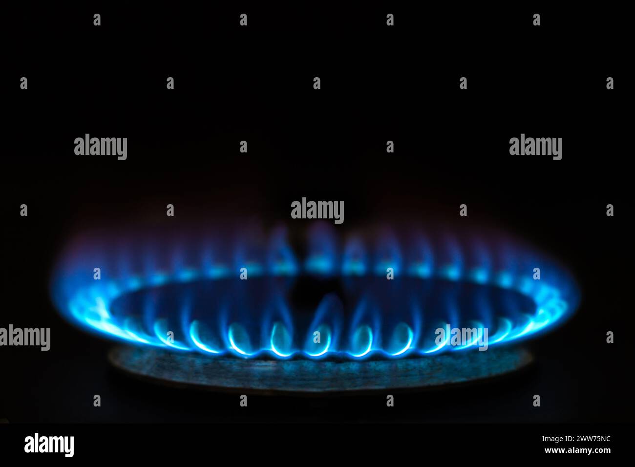 Gros plan d'un brûleur, flammes bleues, sur fond noir. Banque D'Images