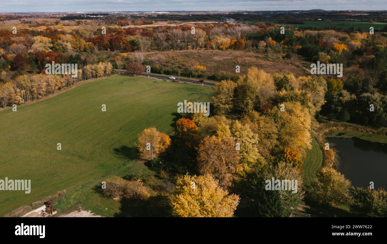 Feuilles rouges et jaunes tombent sur les arbres entourant les champs de la ferme Banque D'Images