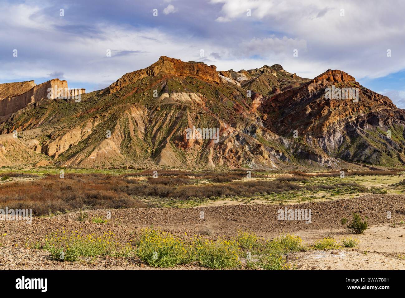 Il s'agit d'une vue d'une montagne multicolore vue vers le sud le long du China Ranch Trail près de Tecopa, comté d'Inyo, Californie, États-Unis. Banque D'Images