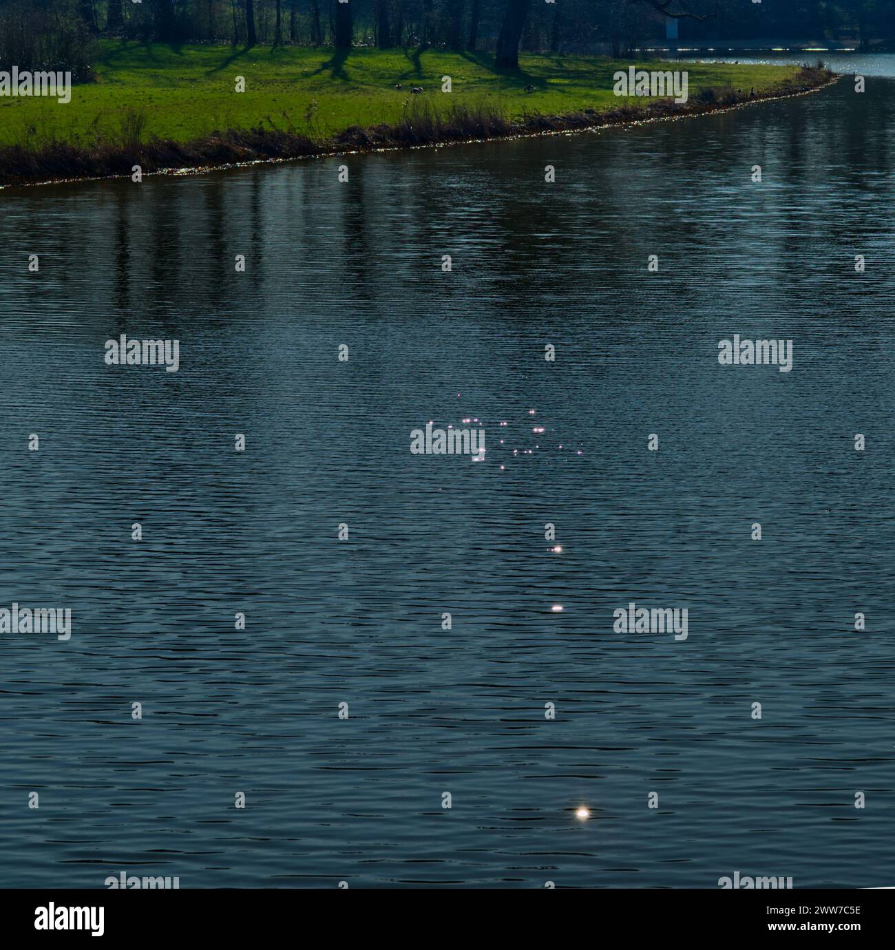 Petites lumières scintillantes à la surface bleu foncé d'un lac et le bord vert du lac en arrière-plan Banque D'Images