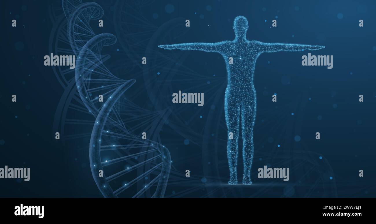 ADN humain. Technologie médicale, évolution génique, santé cellulaire, système nerveux Illustration de Vecteur
