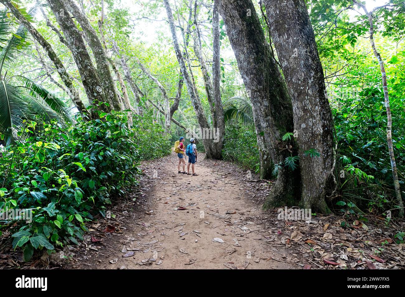 Mère et fils touristes explorant le parc national de Cahuita sur la côte caraïbe du Costa Rica, entourés par la riche biodiversité d'une forêt tropicale. Banque D'Images