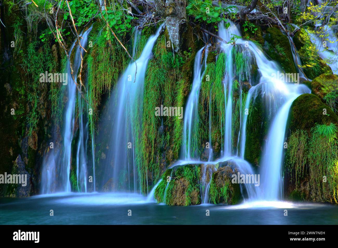 Europe, Croatie, lacs de Plitvice, cascade, cascades, Plitvice, Croatie Banque D'Images