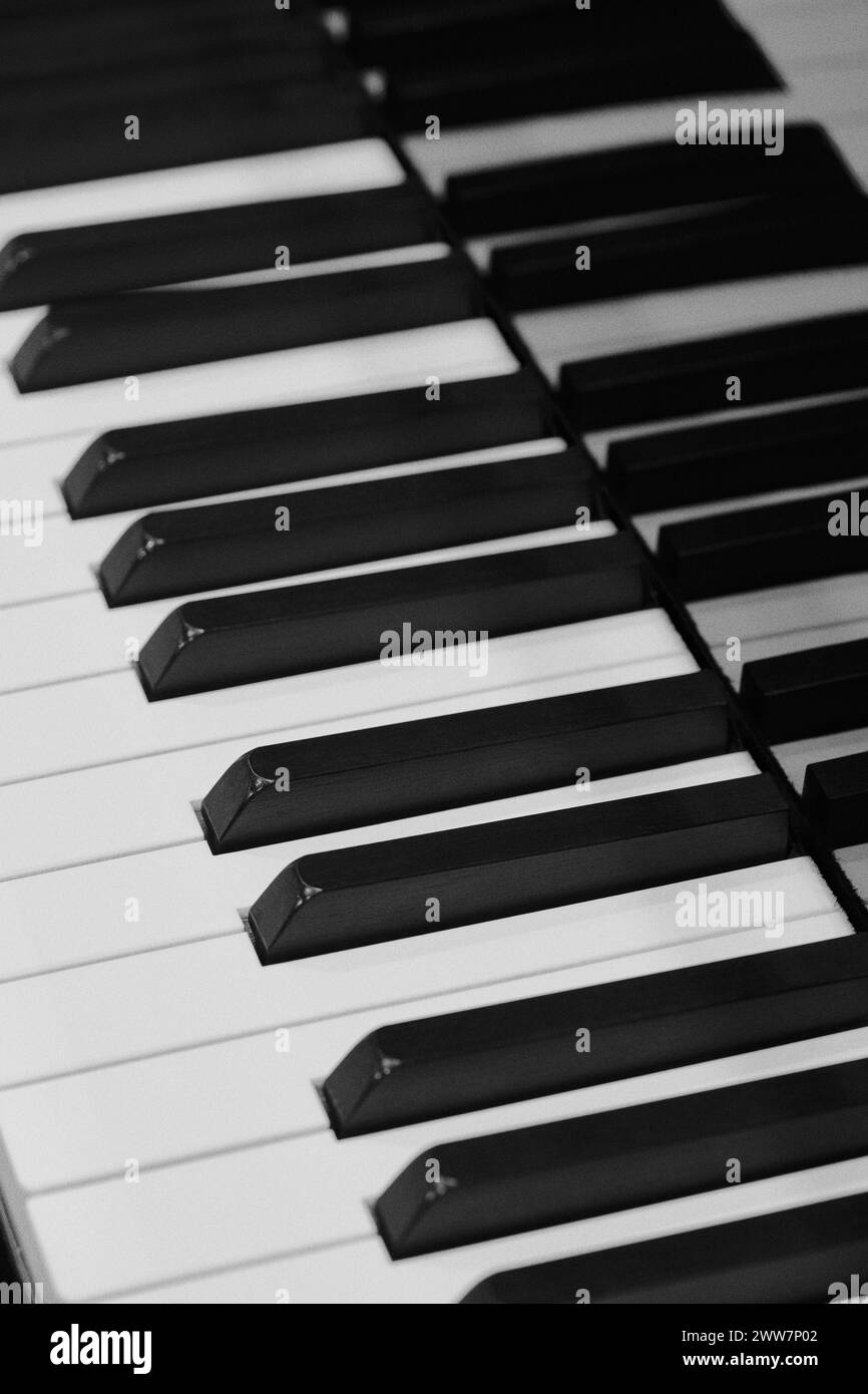Gros plan sur les touches de piano noir et blanc plein format Banque D'Images