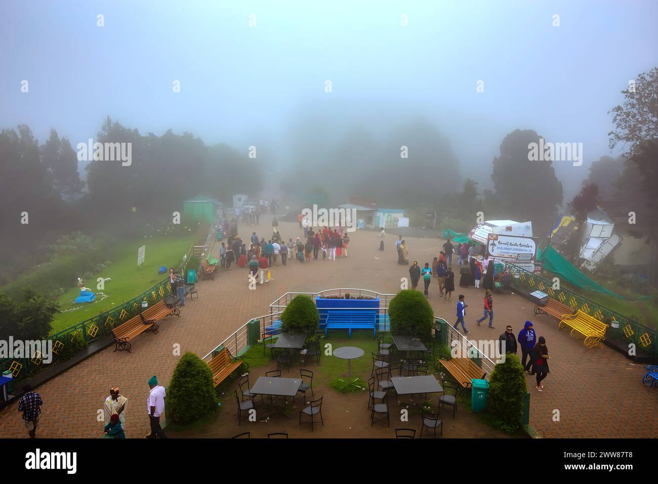 OOTY, INDE - JANVIER 31 2023 belle vue panoramique depuis le sommet de dottabetta de la montagne de colline de forêt verte avec fond de nuages de brume de pluie. Banque D'Images