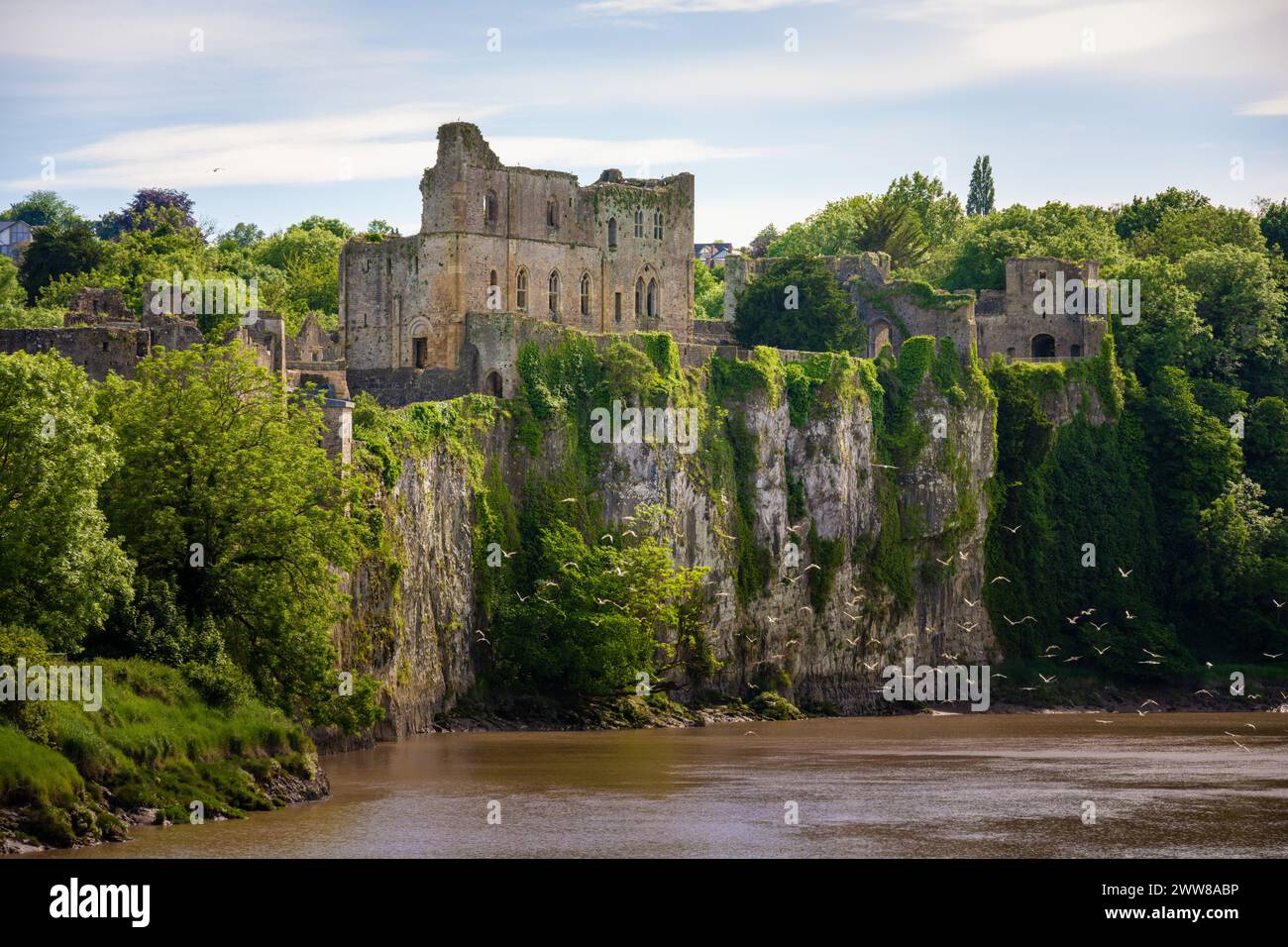 Great Tower, Château de Chepstow, pays de Galles, Royaume-Uni Banque D'Images