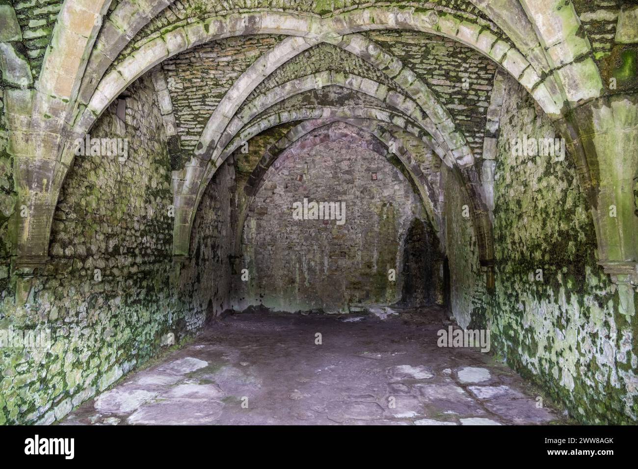 Cave à vin, château de Chepstow, pays de Galles, Royaume-Uni Banque D'Images