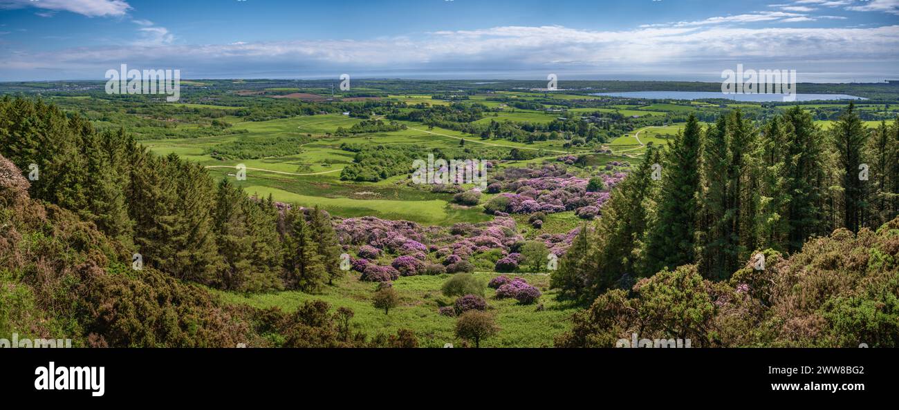 Pulpit Viewpoint, pays de Galles, Royaume-Uni Banque D'Images