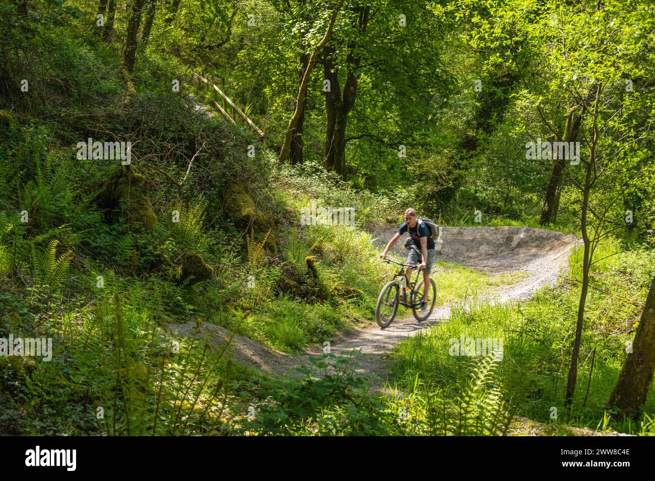 VTT, Afan Forest Park, pays de Galles, Royaume-Uni Banque D'Images