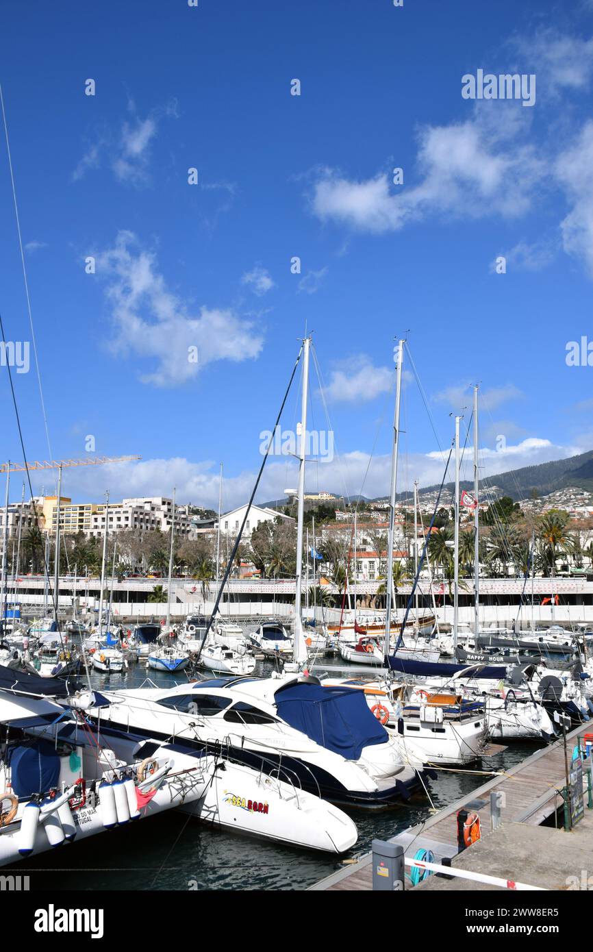 Funchal, Madère, mars 2024 Banque D'Images