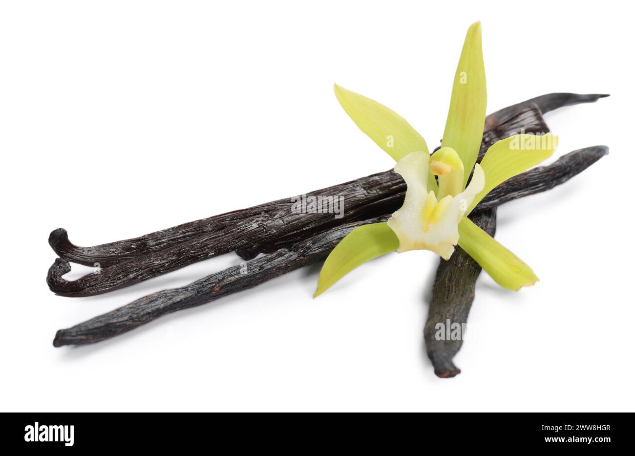 Gousses de vanille et belle fleur isolée sur blanc Banque D'Images