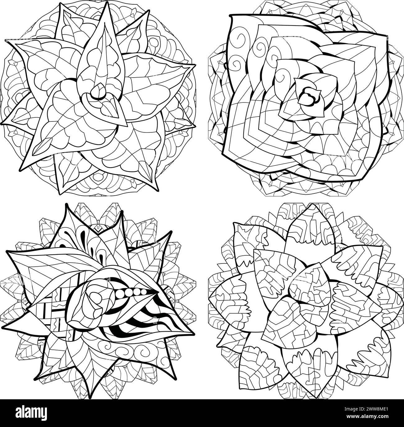 Ensemble de succulents dessinés à la main. Conception de jardin floral pour vecteur d'affiche d'invitation Illustration de Vecteur