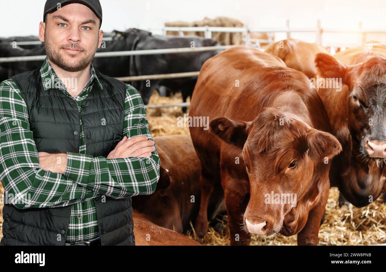 Agriculteur debout avec des armes croisées à côté de vaches dans la ferme d'élevage. Banque D'Images