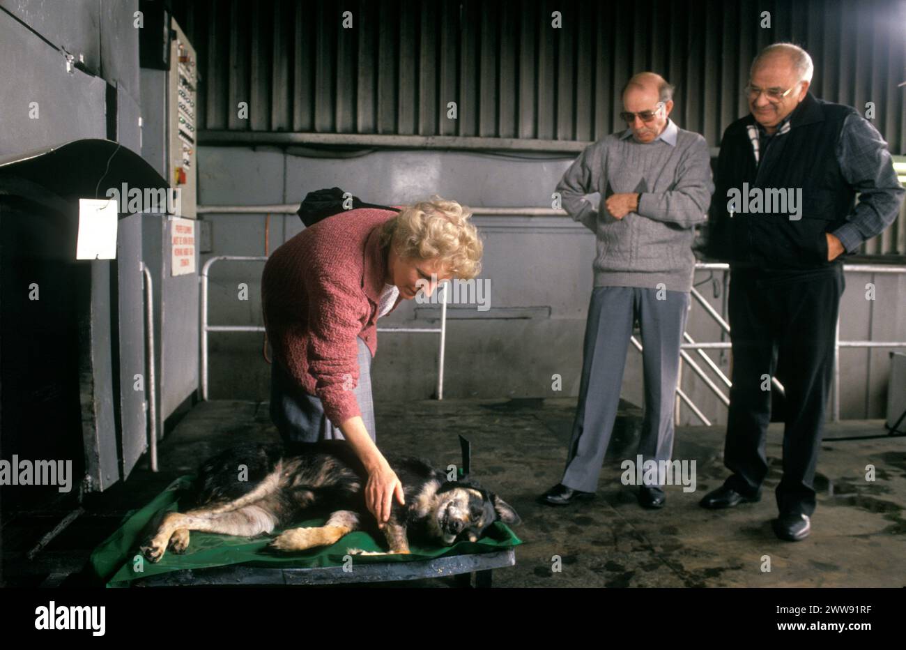 Adieu mon ami. Les propriétaires d'animaux et leur chien qu'ils ont amenés au crématorium, disant un dernier au revoir. Royston, Cambridgeshire, Angleterre, 6 avril 1991. ANNÉES 1990 ROYAUME-UNI HOMER SYKES Banque D'Images
