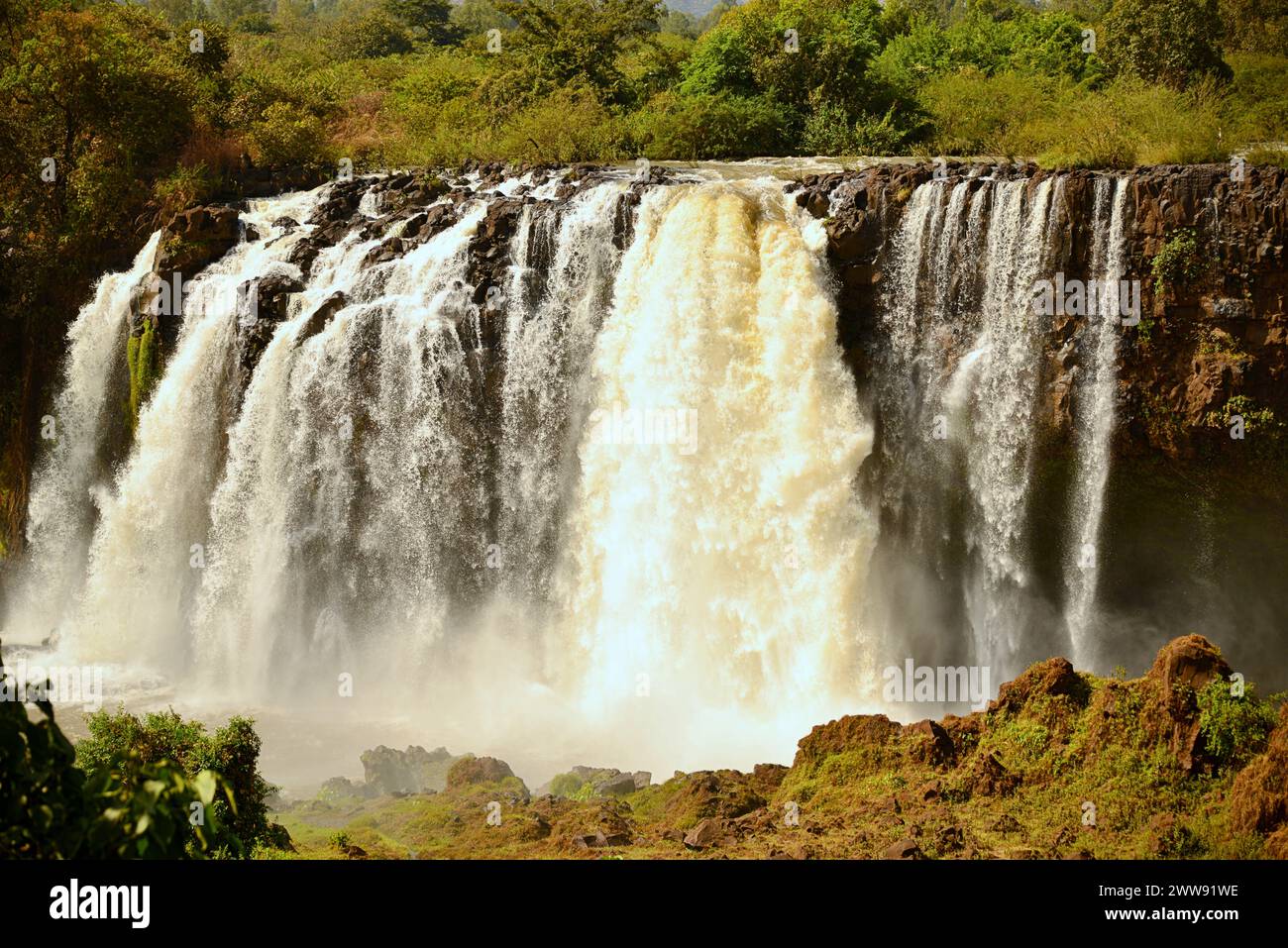 Les chutes du Nil Bleu sont des cascades situées en Ethiopie. Connus sous le nom de Tis Issat ou Tissisat en amharique, ils sont situés dans la première partie de la rivière, ab Banque D'Images
