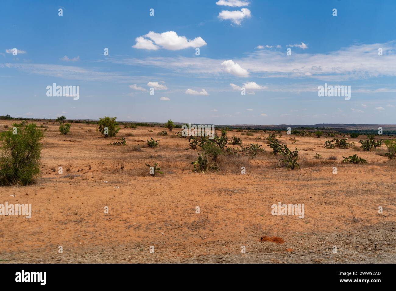 Paysage montrant des sols de latérite rouge, Sakaraha, Atsimo Andrefana, Madagascar Banque D'Images