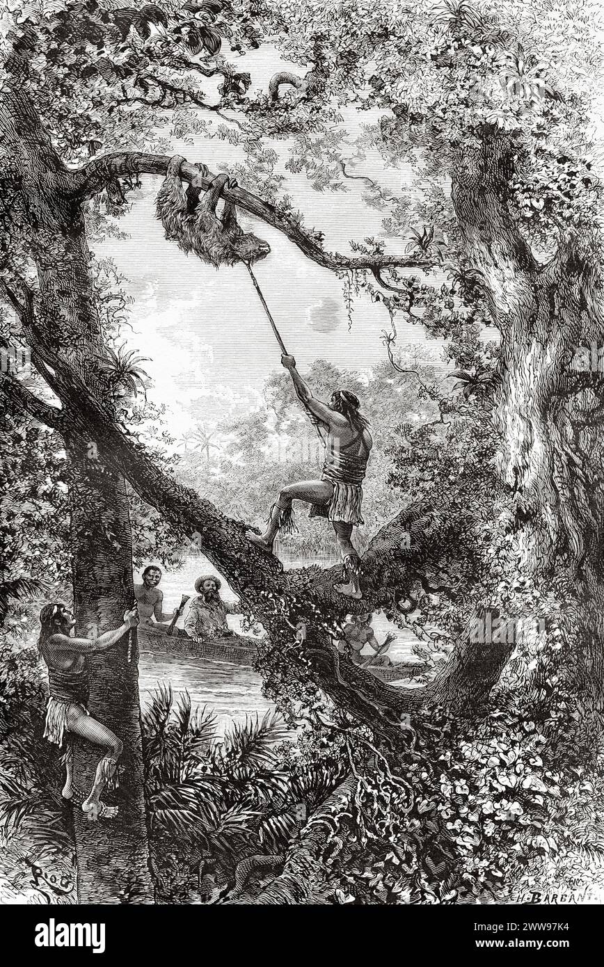 Indigènes capturant un paresseux d'arbre sur la rivière Oyapock ou Oiapoque, Guyane française, Amérique du Sud. Dessin d'Edouard Riou (1833 - 1900) de Cayenne aux Andes (1878-1879) de Jules Crevaux (1847 - 1882) le Tour du monde 1880 Banque D'Images