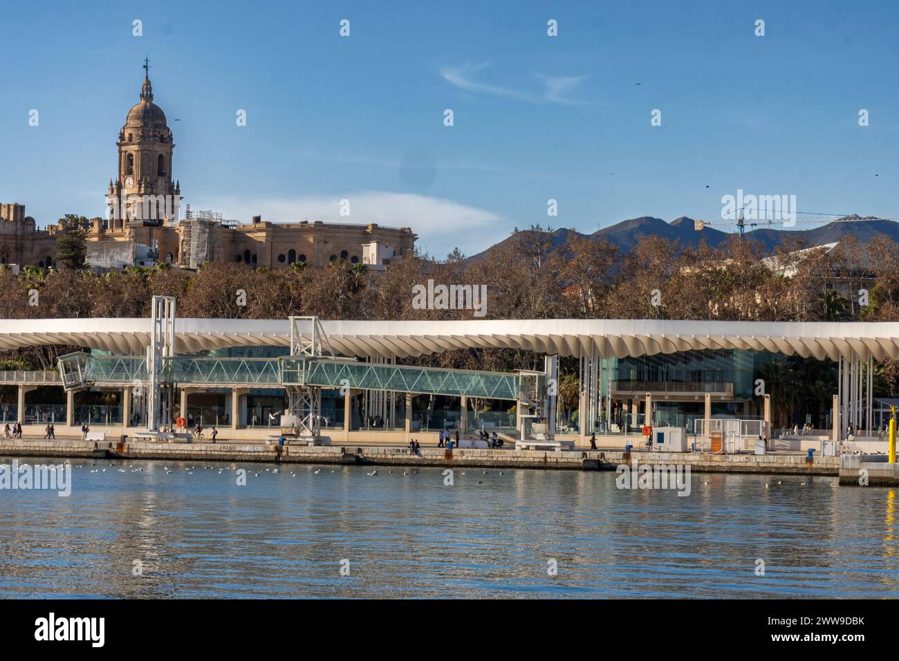 Vista desde el puerto y muelle 1 del Palmeral de las Sorpresas y la Catedral. Málaga, España Banque D'Images