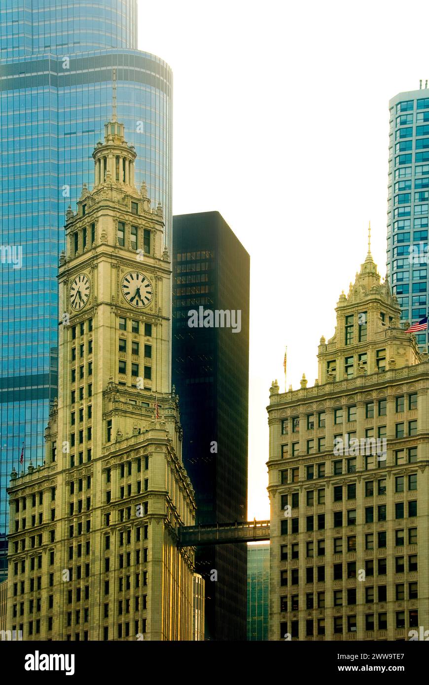 Le Wrigley Building, construit en 1924, est l'un des monuments les plus célèbres de Chicago se compose de deux bâtiments avec des passerelles les reliant. Banque D'Images