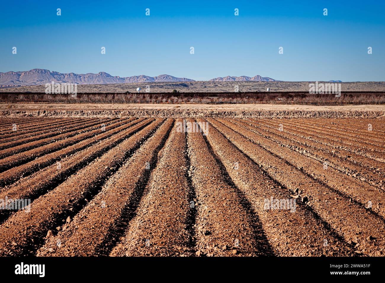 Terres agricoles sur le mur frontalier américano-mexicain près de Fabens, Texas. Banque D'Images