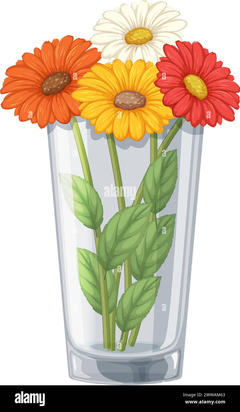 Trois marguerites vibrantes disposées dans un vase clair Illustration de Vecteur
