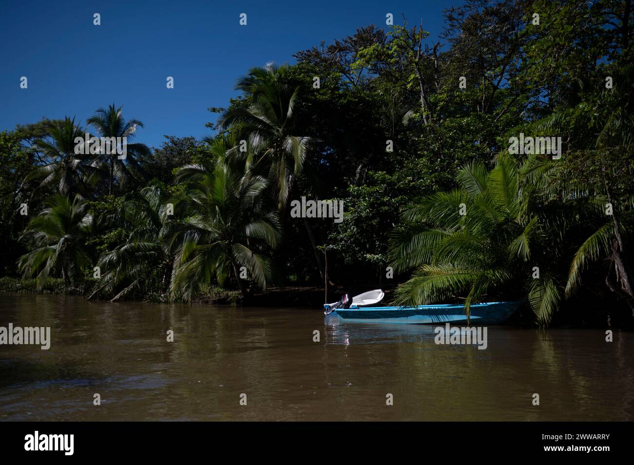 Les bateaux de pêche et d'excursion bordent les canaux de la jungle. Banque D'Images