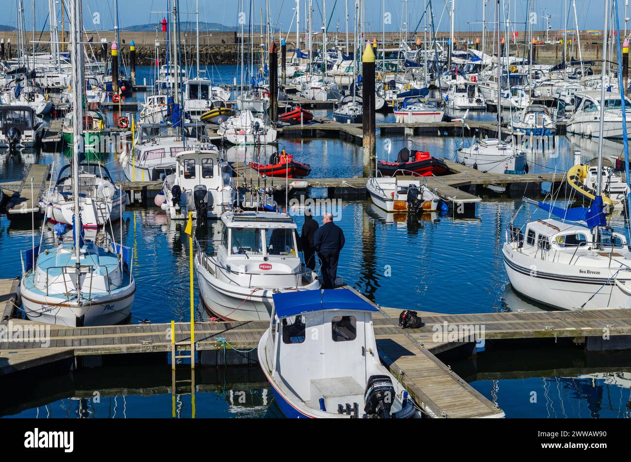 Bangor, County Down, Irlande du Nord 20 mars 2024 - Yachts à Bangor Marina avec un bateau de pêche à louer au premier plan Banque D'Images