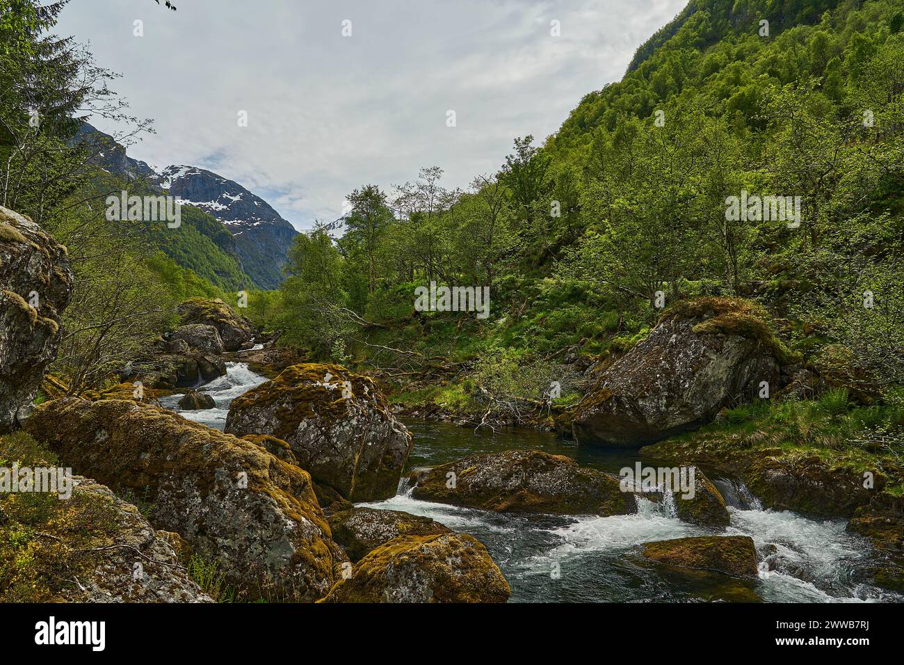 Cascade le long du sentier de randonnée vers le magnifique lac Bondhus Vatnet dans les hautes terres de Norvège, destination de voyage populaire pour les amoureux de la nature et Banque D'Images
