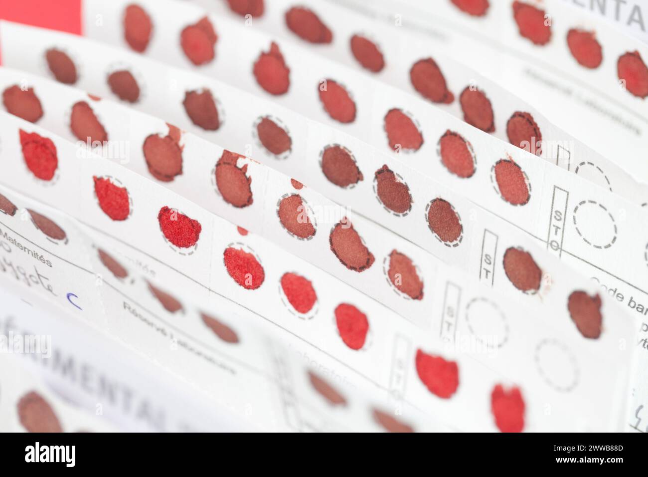 Hôpital. Maternité. Banque D'Images