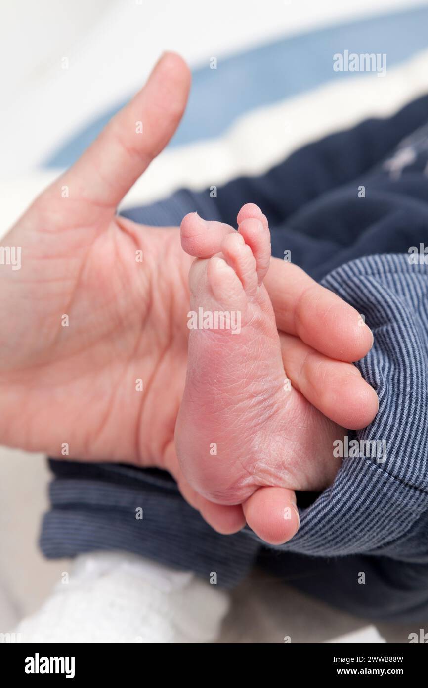 Hôpital. Maternité. Banque D'Images