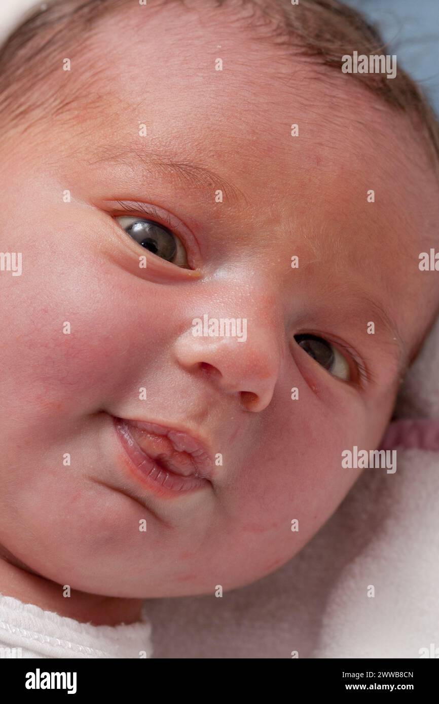 Visage du nouveau-né éveillé (âgé de 3 jours) qui sort de sa langue. Banque D'Images