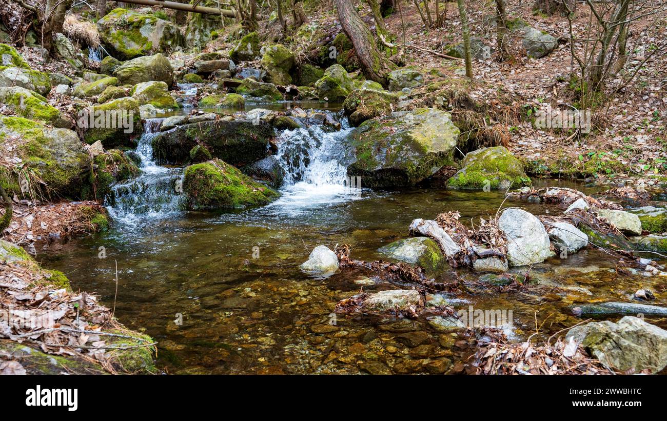 Une petite cascade sur une rivière avec de l'herbe verte et des pierres. Banque D'Images