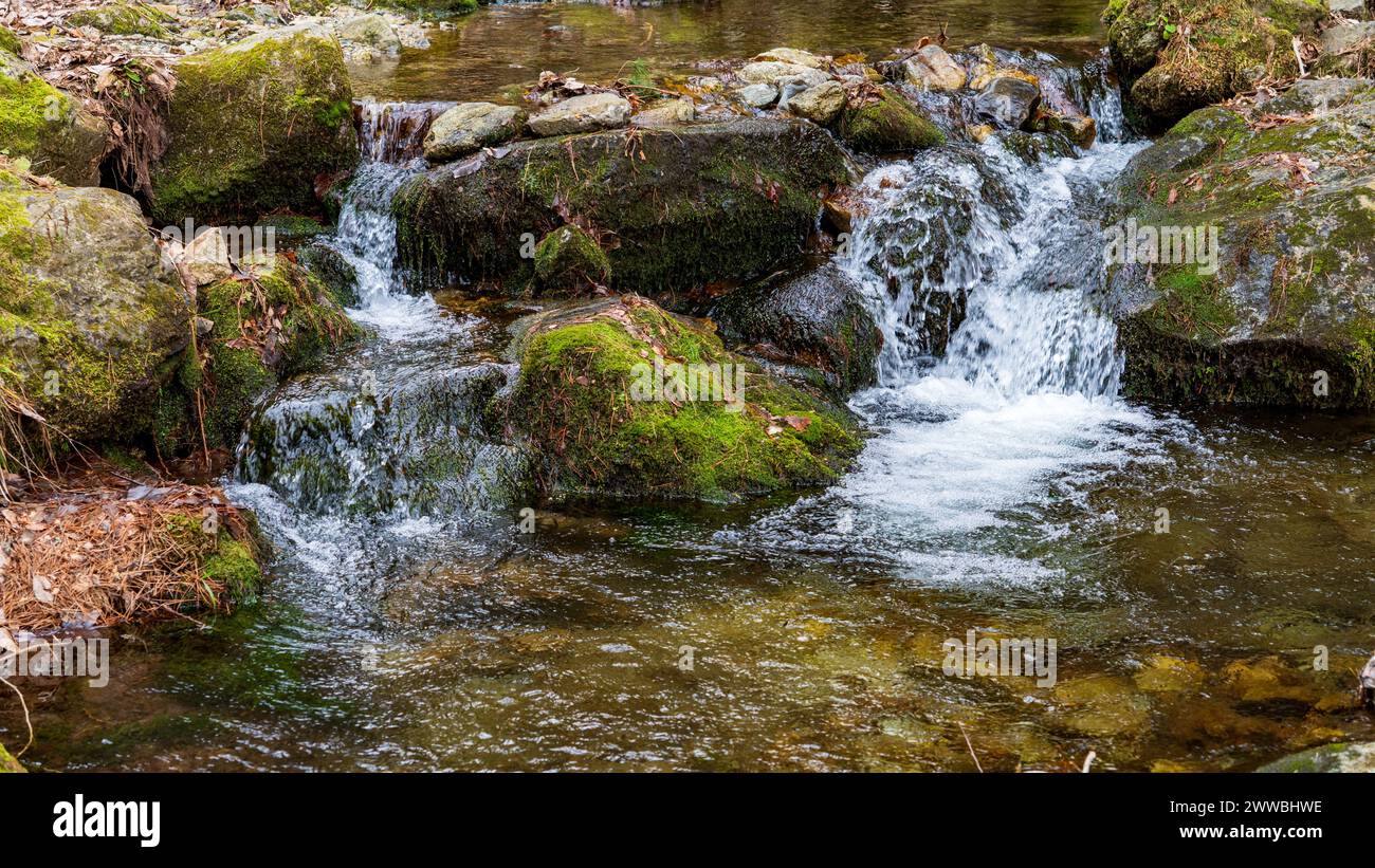 Une petite cascade sur une rivière avec de l'herbe verte et des pierres. Banque D'Images