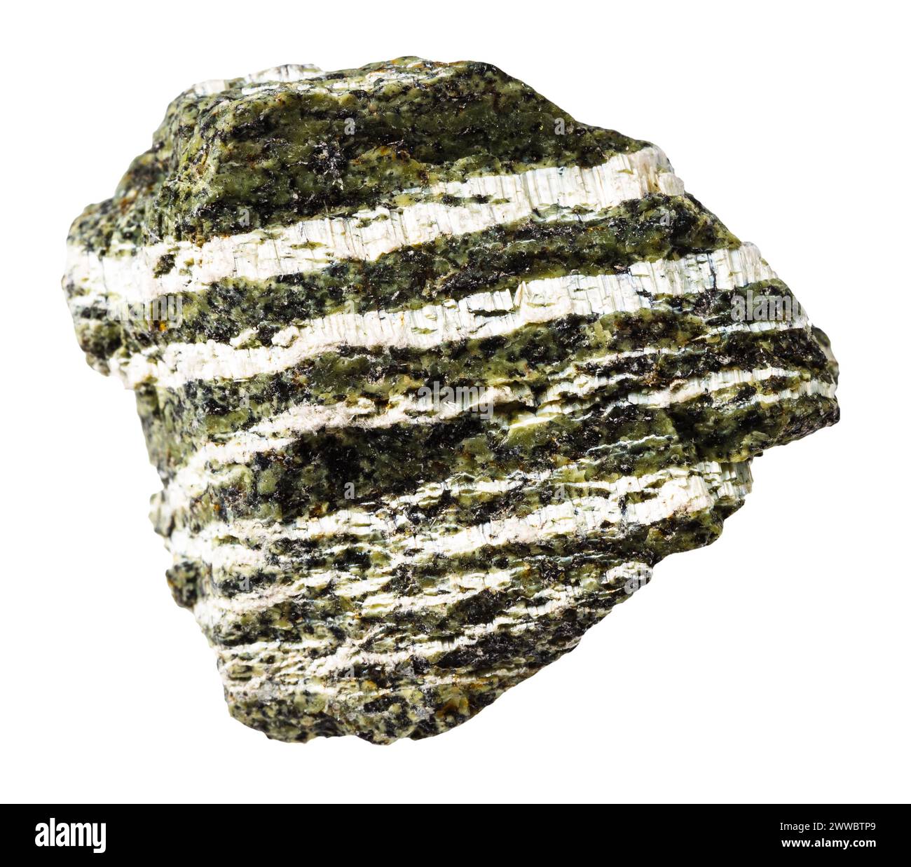 gros plan de l'échantillon de pierre naturelle de la collection géologique - minéral serpentin chrysotile non poli isolé sur fond blanc Banque D'Images