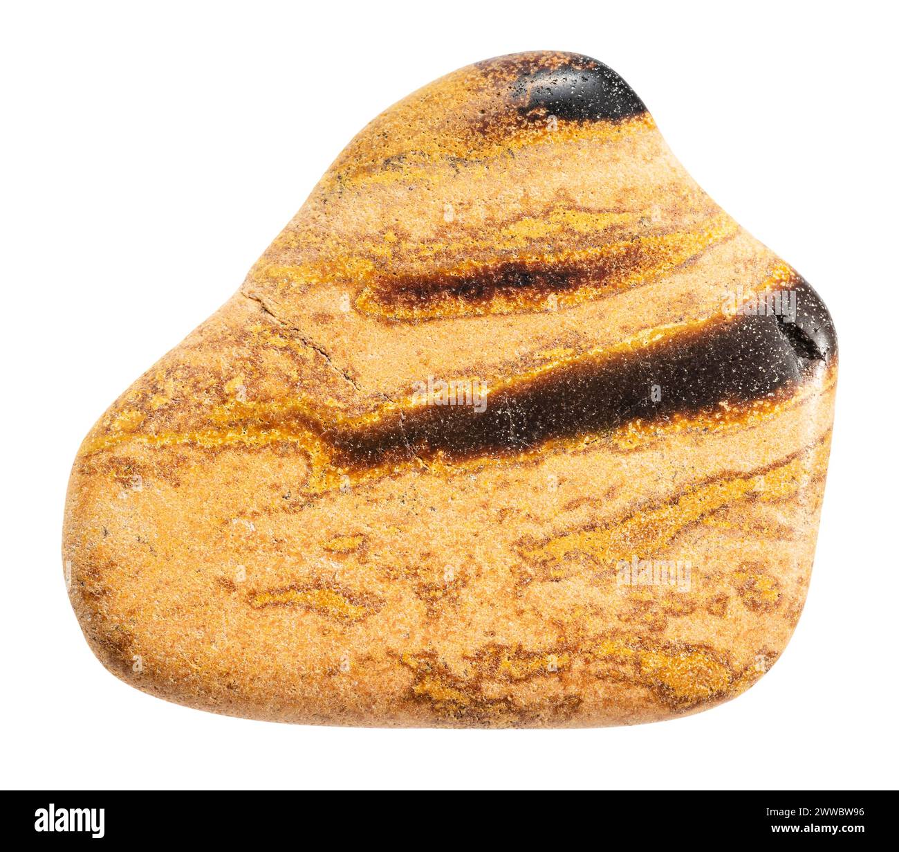 Gros plan de l'échantillon de pierre naturelle de la collection géologique - tuf (tuffacé) tuf (tuffacé) rodé minéral isolé sur fond blanc de Krasnoy Banque D'Images