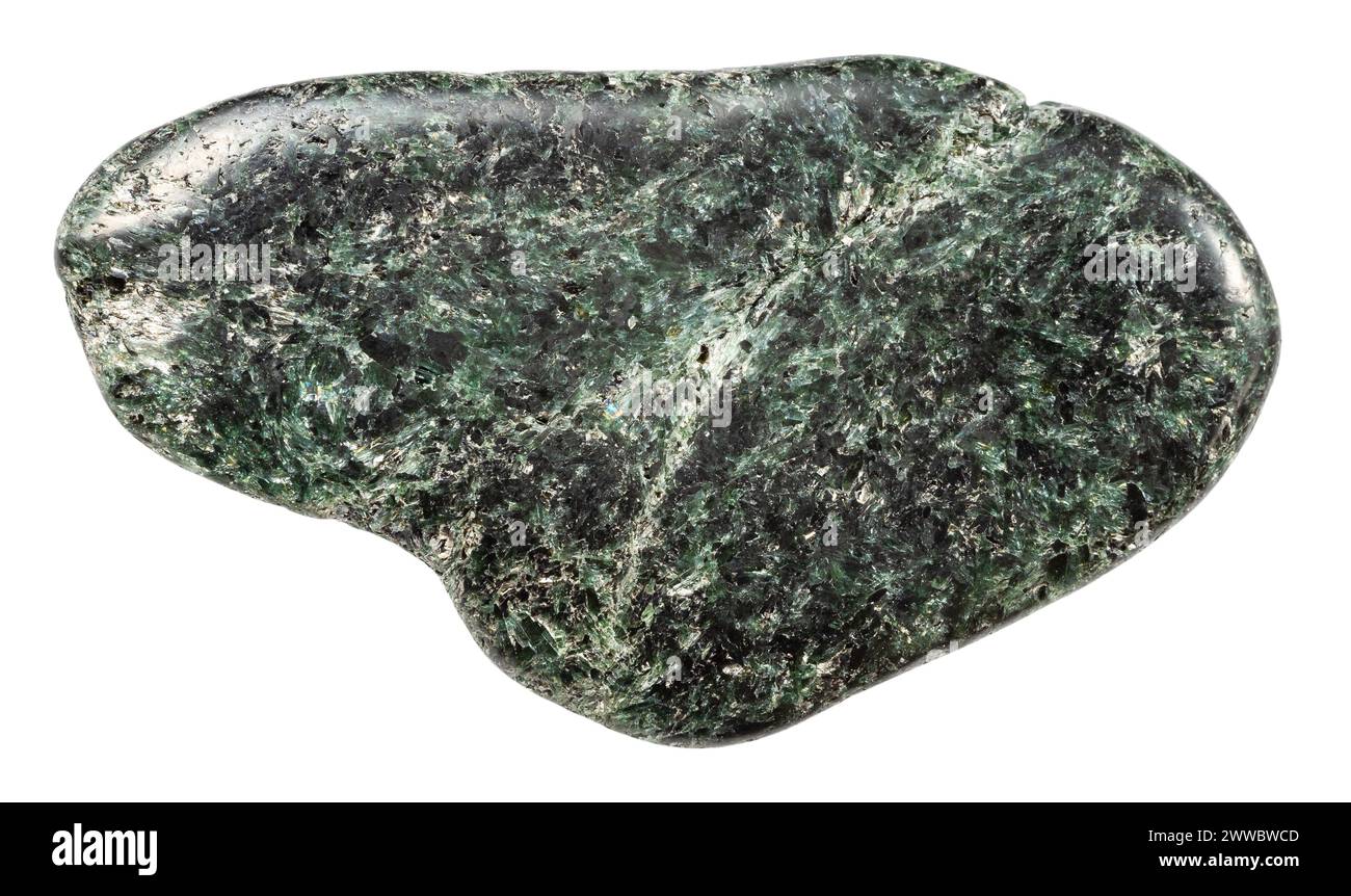 Gros plan de l'échantillon de pierre naturelle de la collection géologique - minéral d'actinolite poli isolé sur fond blanc de Carélie du Nord Banque D'Images