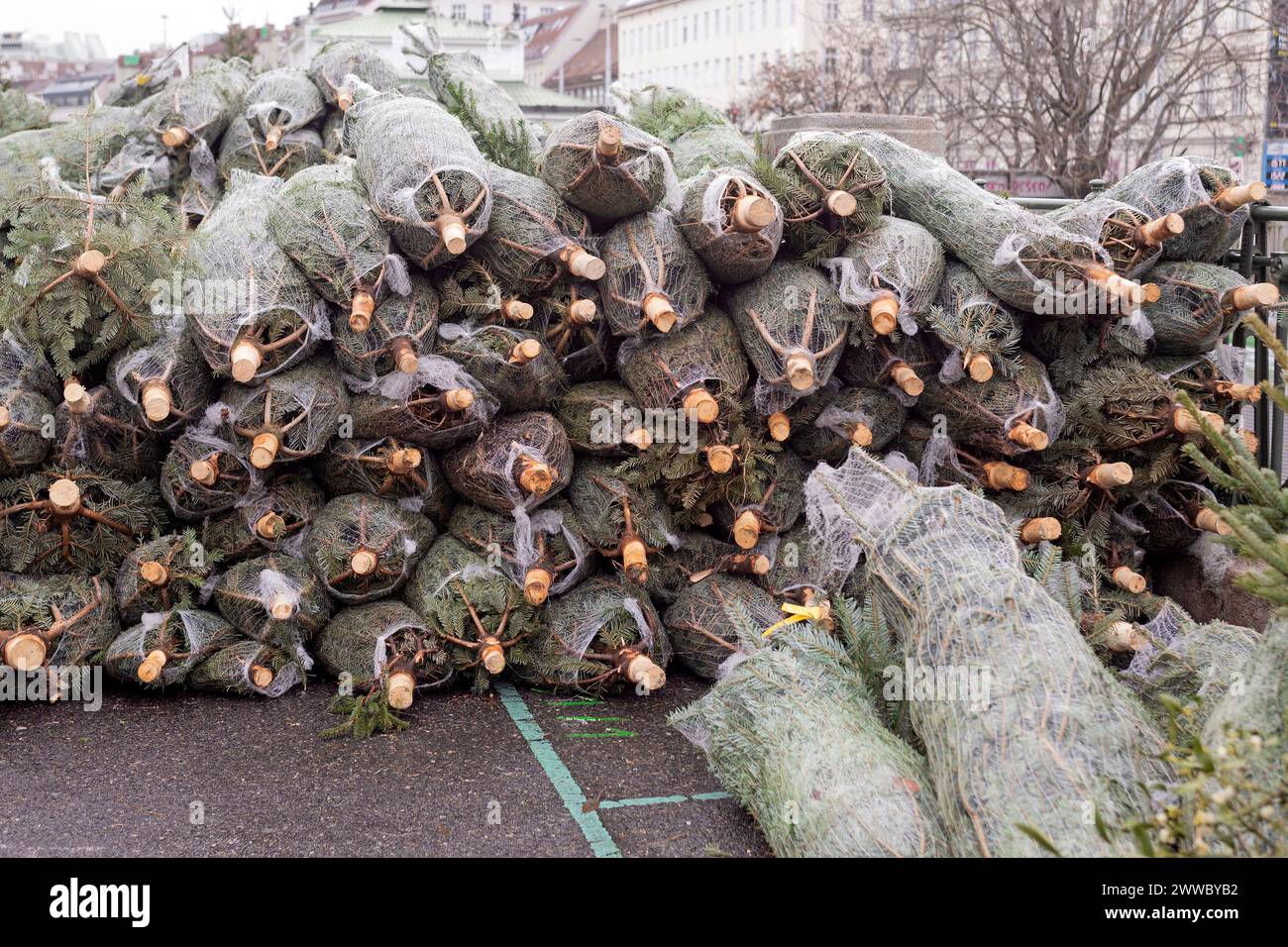 Vente d'arbres de Noël Banque D'Images