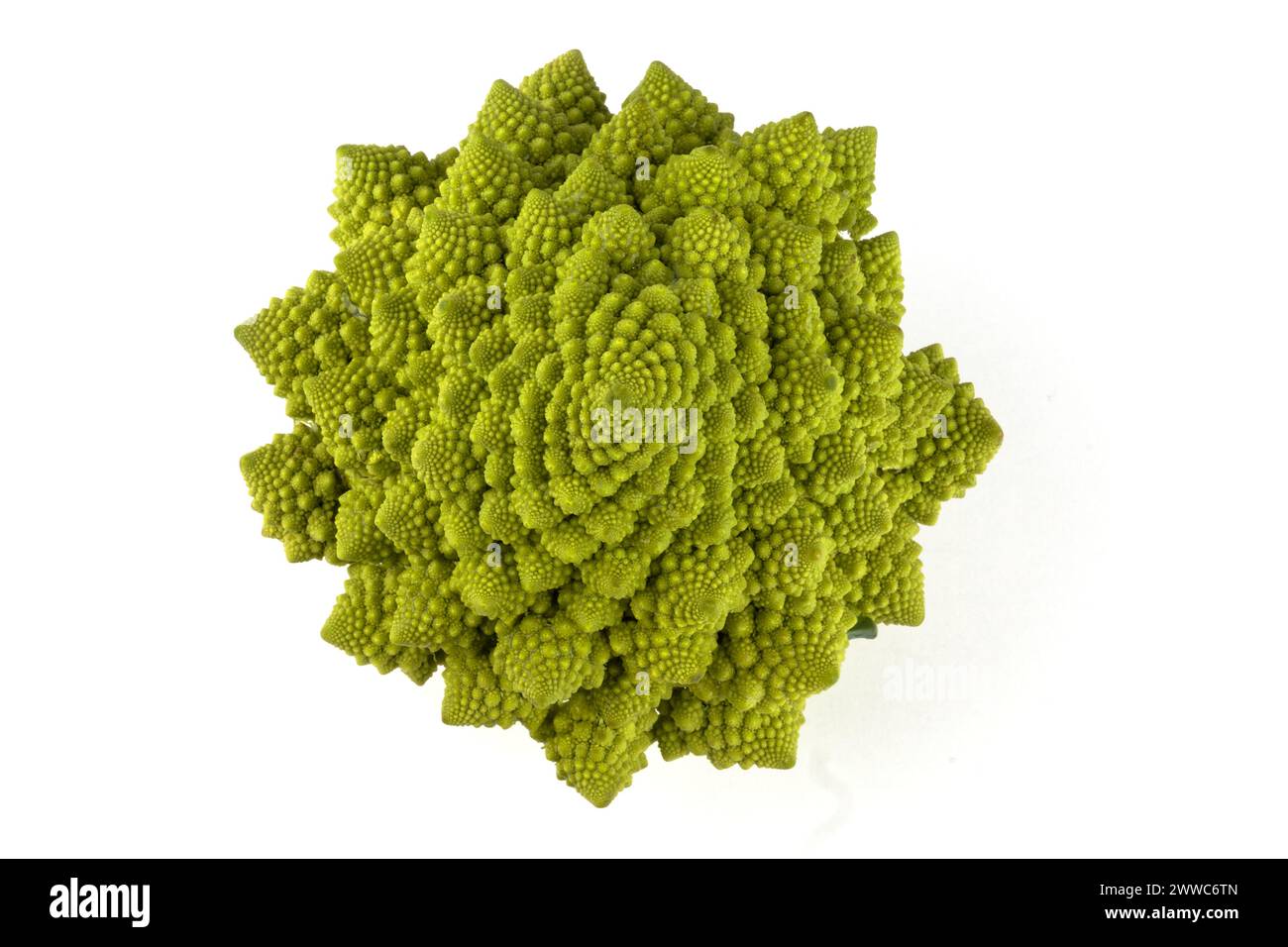 Un exemple biologique de spirales de Fibonacci et de fractales dans la nature utilisant un chou-fleur romanesco isolé sur fond blanc et avec de vraies ombres Banque D'Images