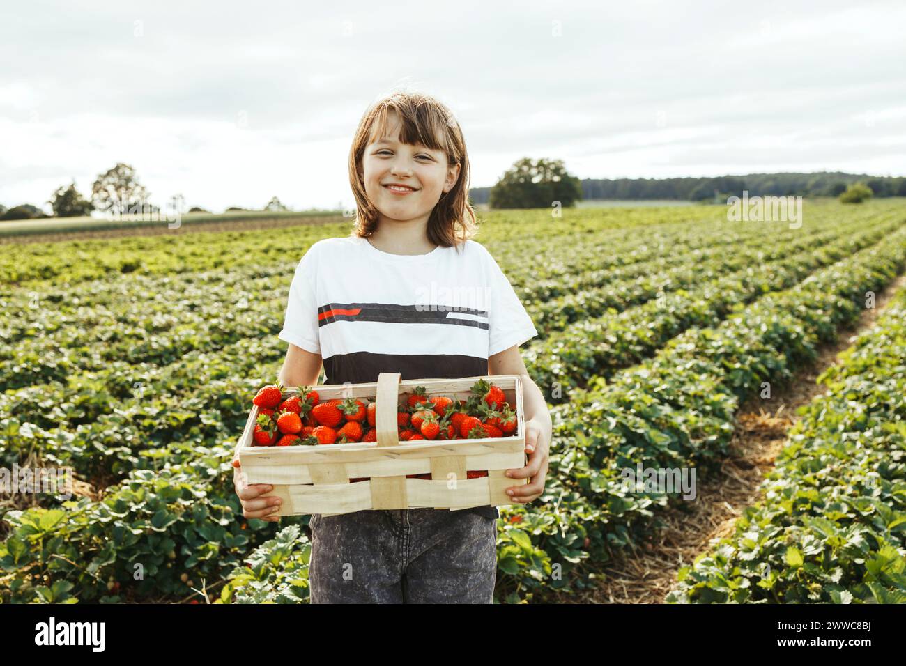 Fille souriante tenant un panier de fraises dans le champ Banque D'Images