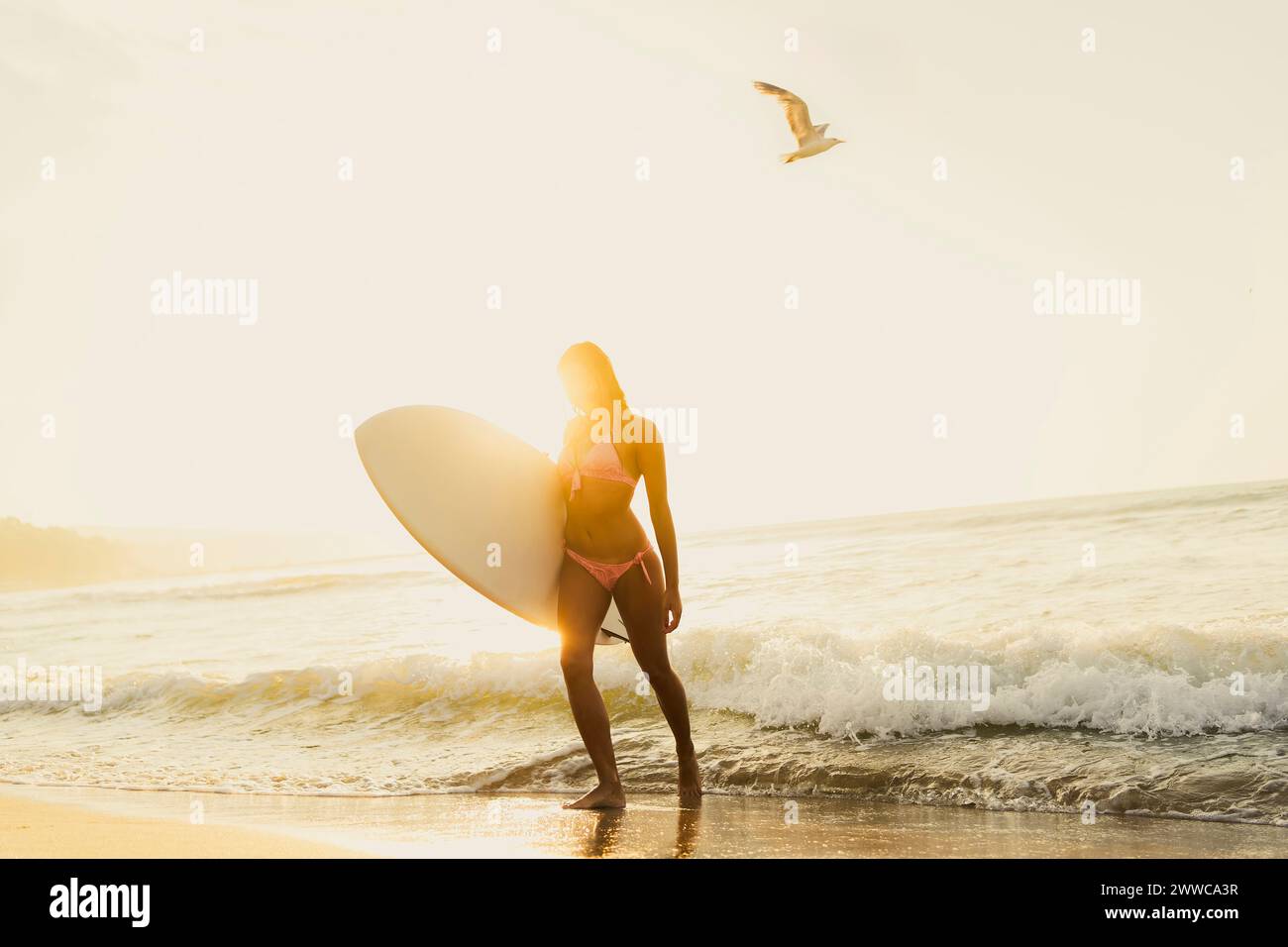 Jeune femme marchant avec une planche de surf près des vagues au coucher du soleil Banque D'Images