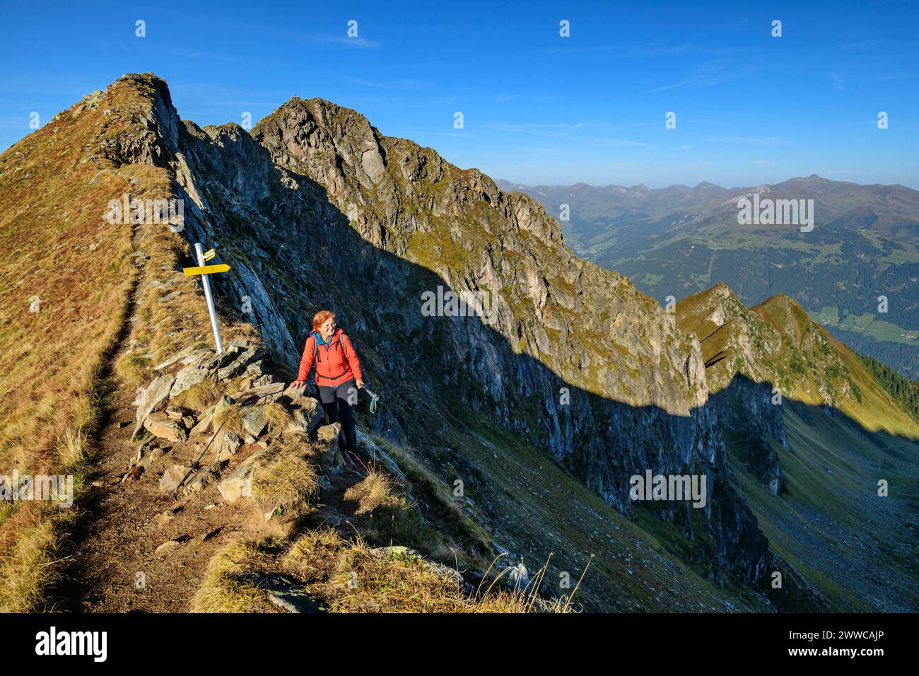 Autriche, Tyrol, femme randonneuse suivant Aschaffenburger Hohenweg Trail dans les Alpes du Zillertal Banque D'Images